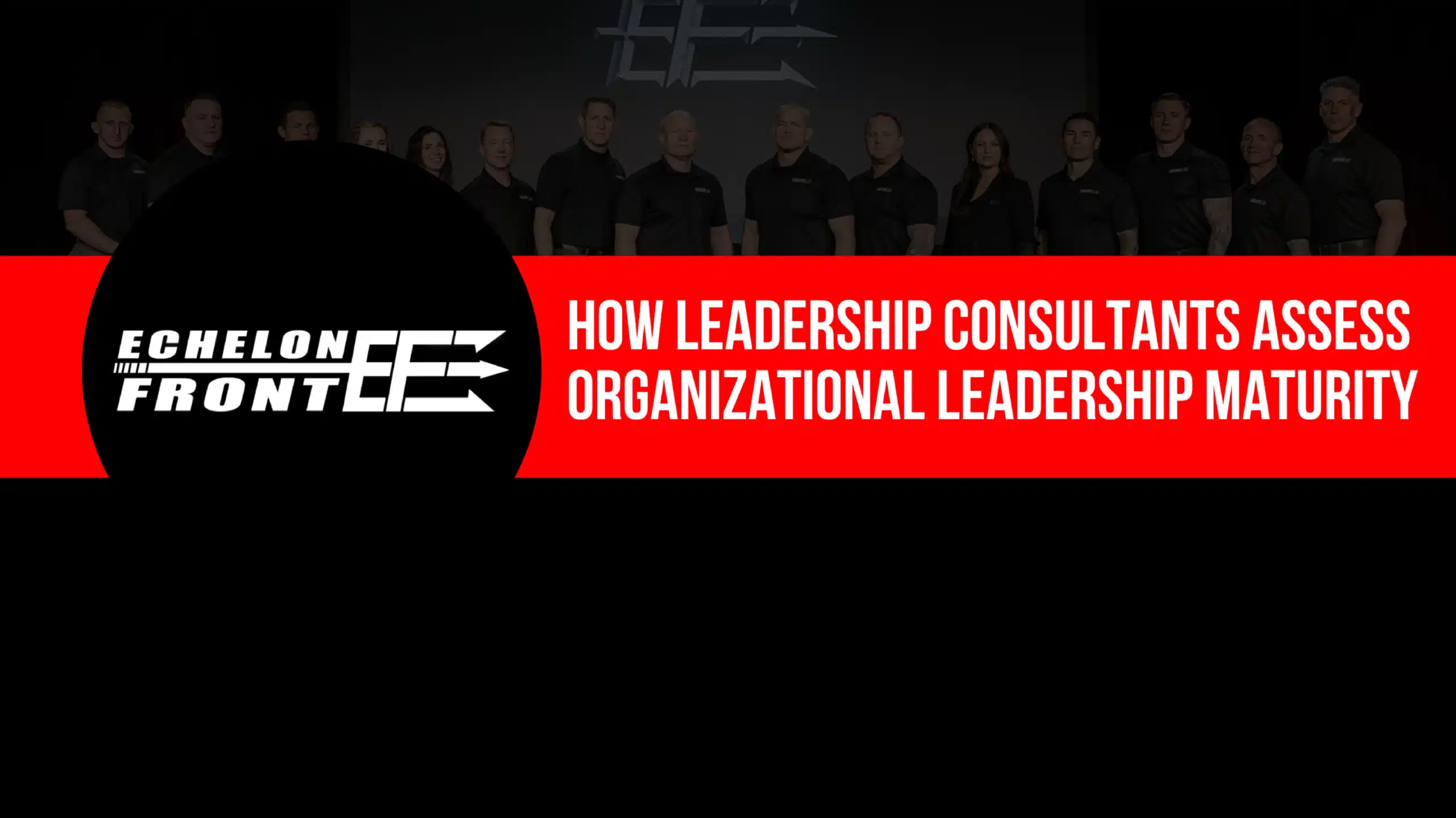 How Leadership Consultants Assess Organizational Leadership Maturity